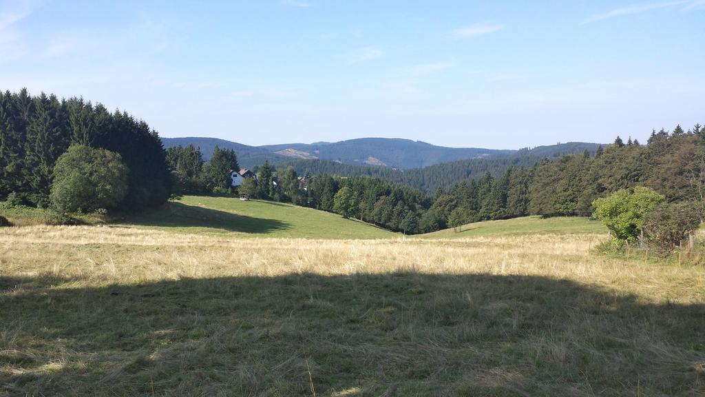 Koenig's Sankt-Andreasberg
